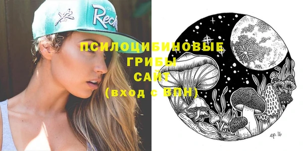 соль ск Бородино