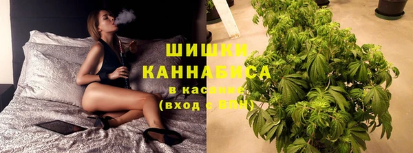 соль ск Бородино