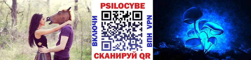 кракен маркетплейс  купить   Балаково  Галлюциногенные грибы MAGIC MUSHROOMS 